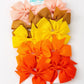 Girls Bow Hair Clip Set